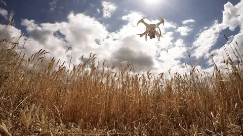 Drone for agriculture. Stock Footage 77092947