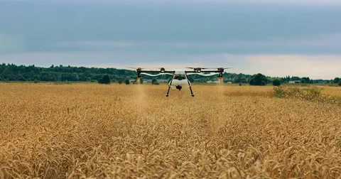 Drone for agriculture Vídeos de archivo 81324627