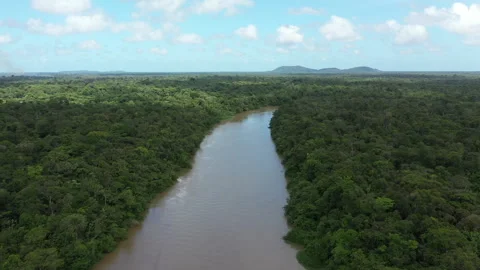 Drone along a river in the Amazon Stock Footage 323839816