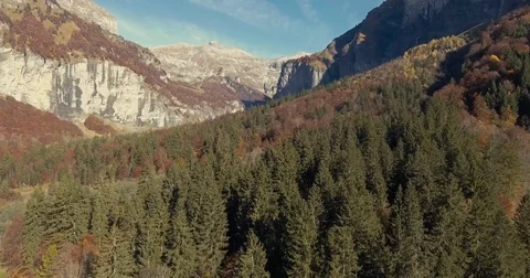 Drone Alpine Forest flyover Stock Footage 70629992