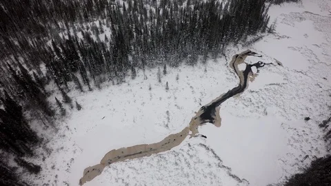Drone angled view pull back pine trees snow northern quebec winter Stock Footage 93203811