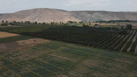 DRONE ANGOLA FARM Stock Footage 313231447