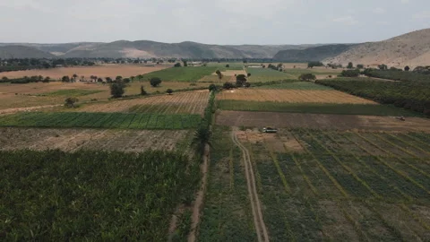 DRONE ANGOLA FARM Stock Footage 313231456