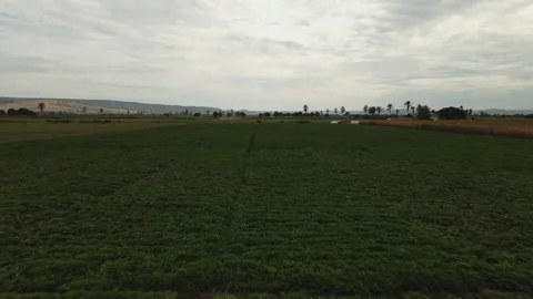DRONE ANGOLA FARM Stock Footage 313231503