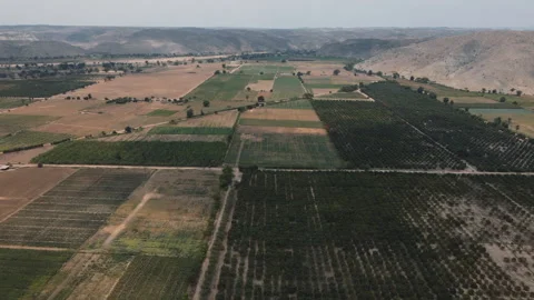 DRONE ANGOLA FARM Stock Footage 313231505
