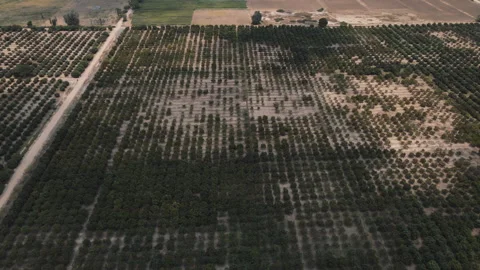 DRONE ANGOLA FARM Stock Footage 313231583