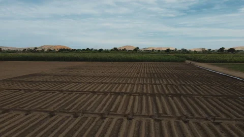 DRONE ANGOLA FARM Stock Footage 313231669