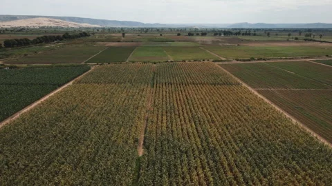 DRONE ANGOLA FARM Stock Footage 313231693