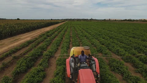 DRONE ANGOLA FARM Stock Footage 313231746