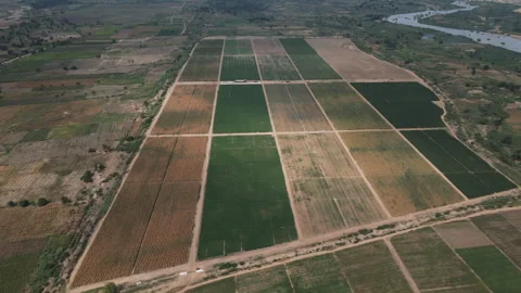 DRONE ANGOLA FARM Stock Footage 313231749