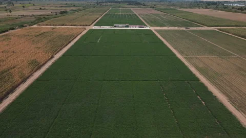 DRONE ANGOLA FARM Stock Footage 313231757