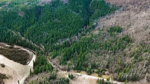 Drone approaches a dense forest and a small river on the left in Alberta, Canada Vídeo Stock 139117740