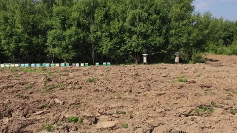 Drone approaching beehives over plowed field Stock Footage 327732243