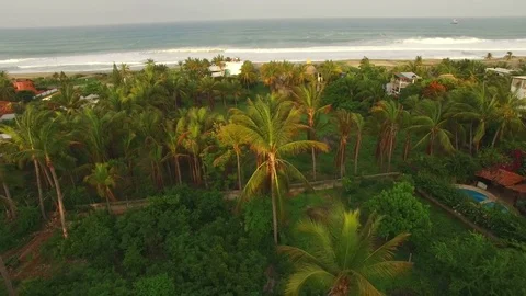 The drone is approaching the flying over the beach vegetation and palms, Mexico Stock Footage 72107915