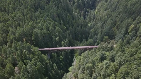 Drone Arc of Trestle Abandoned Train Bridge in GoldStream Provincial Park 스톡 동영상 92821786
