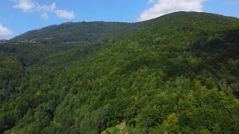 Drone areal view forest in mountain Video stock 282895348