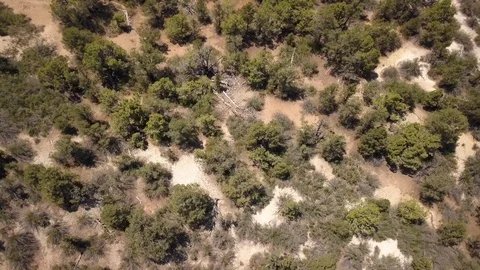 Drone Ascending Above a Mountain Tilting to Reveal Valley at Zion NP in 4k Stock Footage 93874430