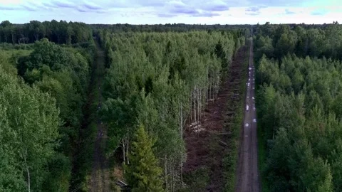 Drone ascending above muddy forest tracks in Estonia Stock Footage 343306048
