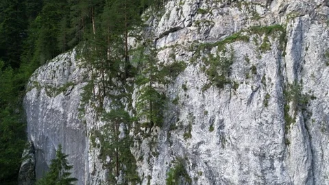 Drone Ascending Along Massive Cliff with Trees. Aerial Footage Stock Footage 301101526