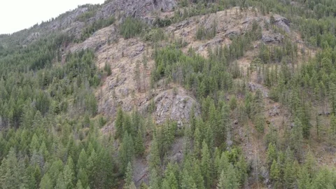 Drone ascending up hillside Stock Footage 145909794