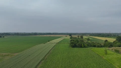 Drone ascending over mixed crops: wheat, maize, and meadows in rural Stock Footage 314705833