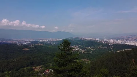 Drone Ascending Over Pine Tree Revealing Sarajevo Cityscape and Distant Moun Stock Footage 313548162