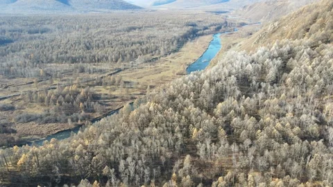 Drone Ascending Over River Through Autumn Forest Arxan Inner Mongolia Stock Footage 330236663