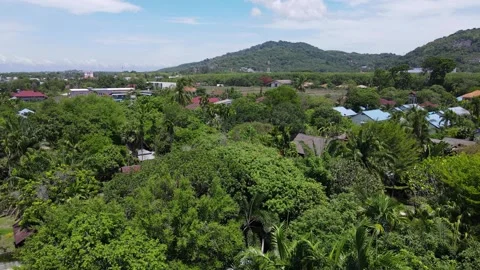 Drone Ascending Over Treetops in Phuket, Thailand Stock Footage 276455085