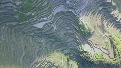 Drone Ascending Top Down View Over Yunhe Rice Terraces Landscape Stock Footage 331407204