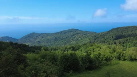 Drone Ascending from Tree to Mountain View 動画素材 311649529