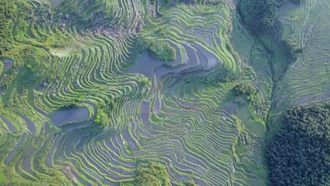 Drone Ascending View Over Yunhe Rice Terraces Landscape Video stock 331407272