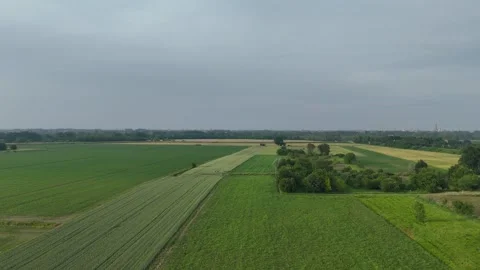 Drone ascends above a patchwork of wheat, maize, and meadow fields in the o.. Stock Footage 314512123