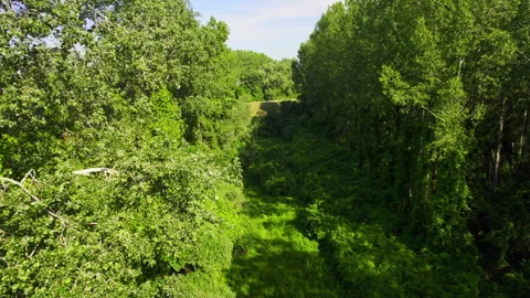 Drone ascends and captures clearing in the middle of green woods in summer day Stock Footage 263081475