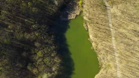 Drone ascends and captures peaceful green water of a lake Bela reka surrounded Stock-Footage 261877452