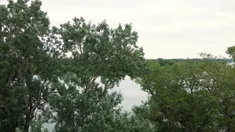 Drone ascends from behind the trees and captures beautiful lake reflecting sky Stock Footage 262613004