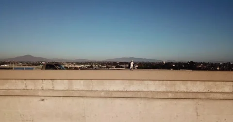 Drone Ascends On Bird Stock Footage 123452111