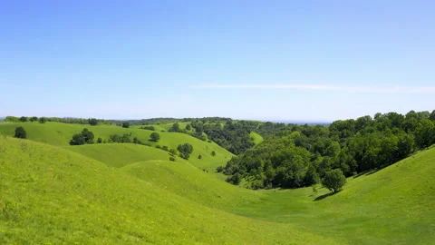 Drone ascends from wild grass and flowers towards woods on rolling hills Stock-Footage 263102288
