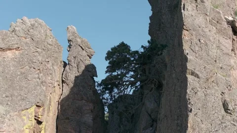 Drone ascent over rocky cliffs with lone tree and forest landscape Vidéo 321829536