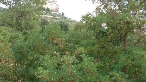 Drone Assisi Video stock 100359338