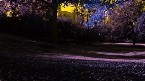 Drone atlanta Video stock 120378060