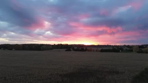 Drone Autumn Sunset Corn Field Flyover 스톡 동영상 254085374