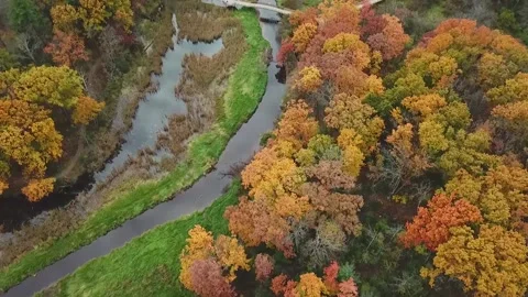 Drone  autumn trees 库存影片 147010628