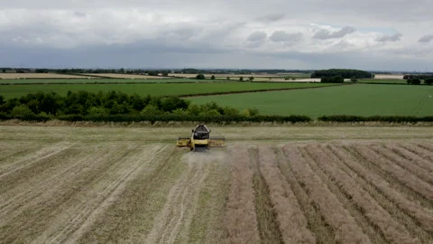 Drone Back of a Harvester Stock Footage 269013540