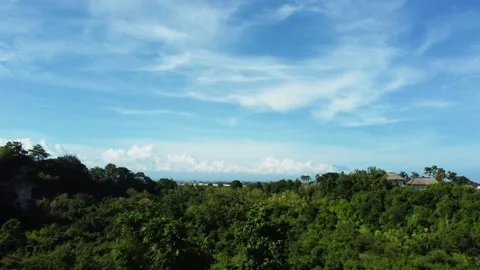 Drone backward flight over the trees between rocks Stock Footage 153044734