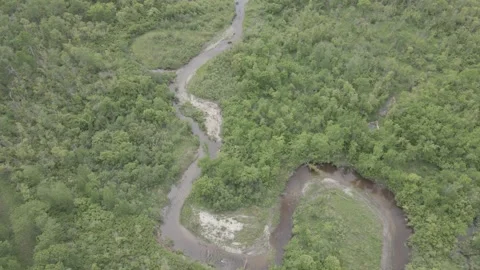 Drone based aerial looking down at a winding stream running through a green Stock Footage 310897736