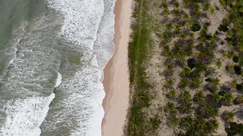 Drone beach approximation. Person running. Imbassaí beach. Bahia, Brazil. Vídeo Stock 117045939