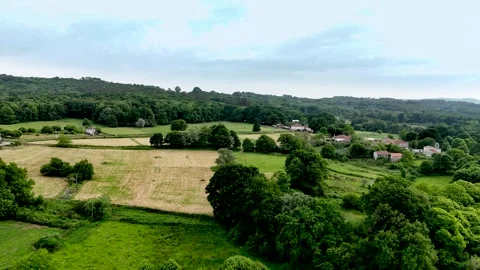 Drone, a beautiful green field surrounded by trees and small village Video stock 315032081