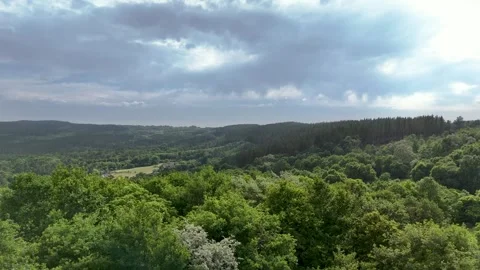 Drone,  Beautiful view of  an oak and chestnut forest in spring. Video stock 315032020