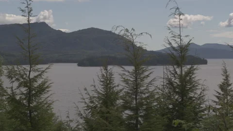 Drone behind Trees Onto Lake with Mountains of Trees in Background Alaska Stock Footage 255319382