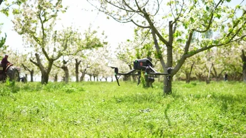 Drone between flowering trees. Stock Footage 154302630